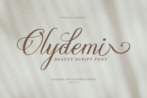 Olydemi: The Perfect Script Amp Font for Handmade Brands